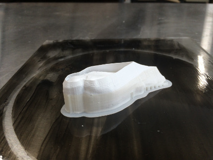 3D print of Kestrel